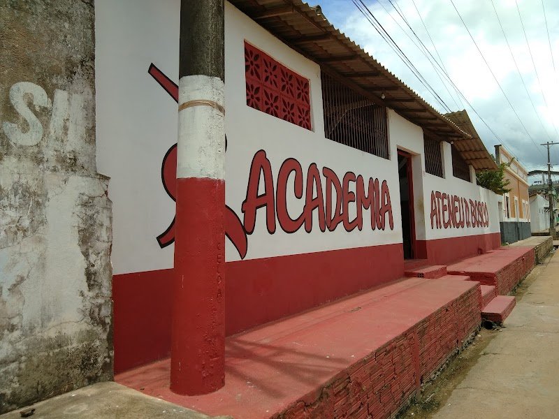 Logo de Academia Ateneu D. Bosco