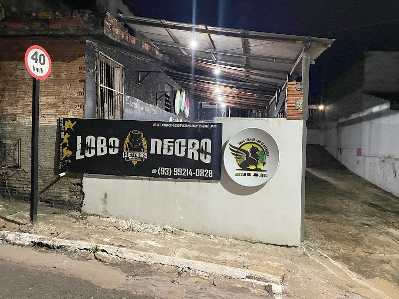Logo de Grifo Team