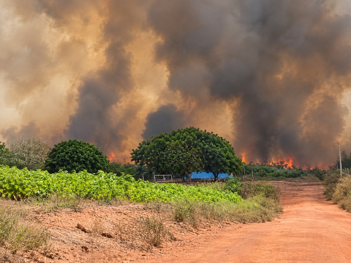 Incêndio na Gleba se espalha rapidamente e mobilização de equipes de apoio é aguardada em Alenquer